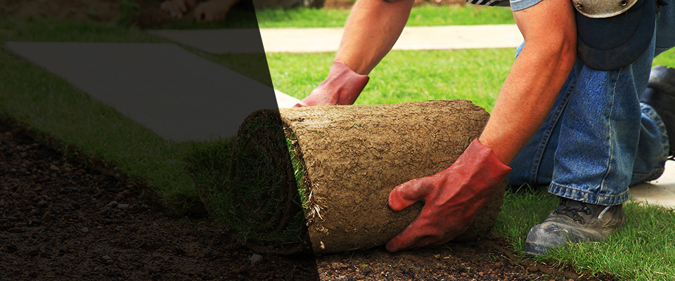 Camp Pendleton Landscapers