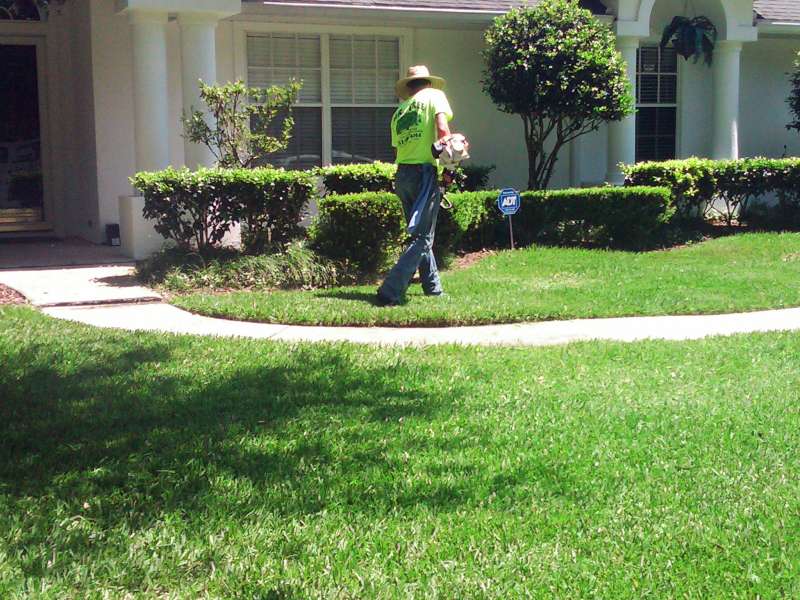 Vine Pruning